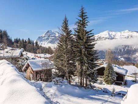 Résidence Odalys Le Front de Neige